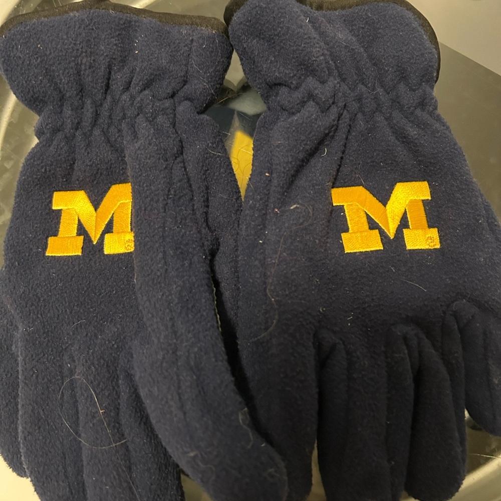 Women’s Michigan Gloves